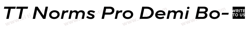TT Norms Pro Demi Bo字体转换